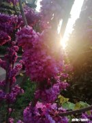 深夜睡不着的人，你是不是也有着不想对别人说的故事