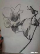 说说孩子上课外班的优缺点