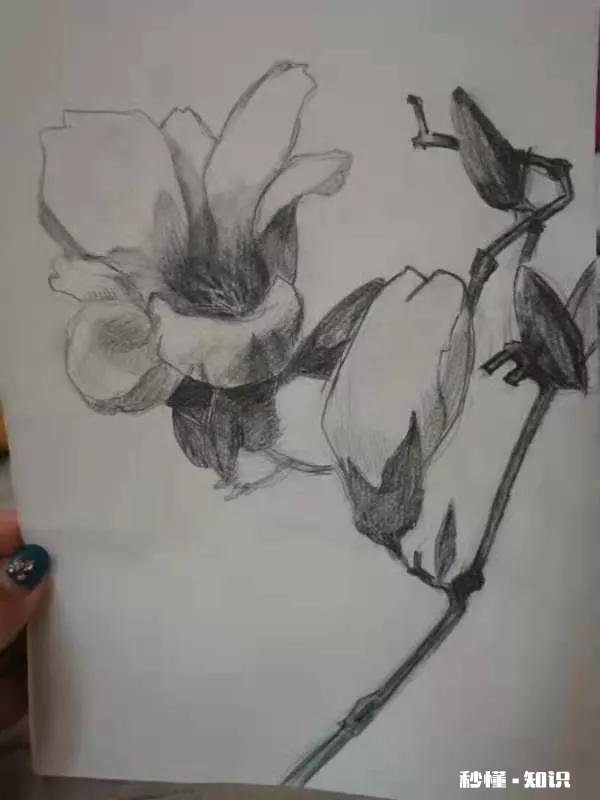 说说孩子上课外班的优缺点