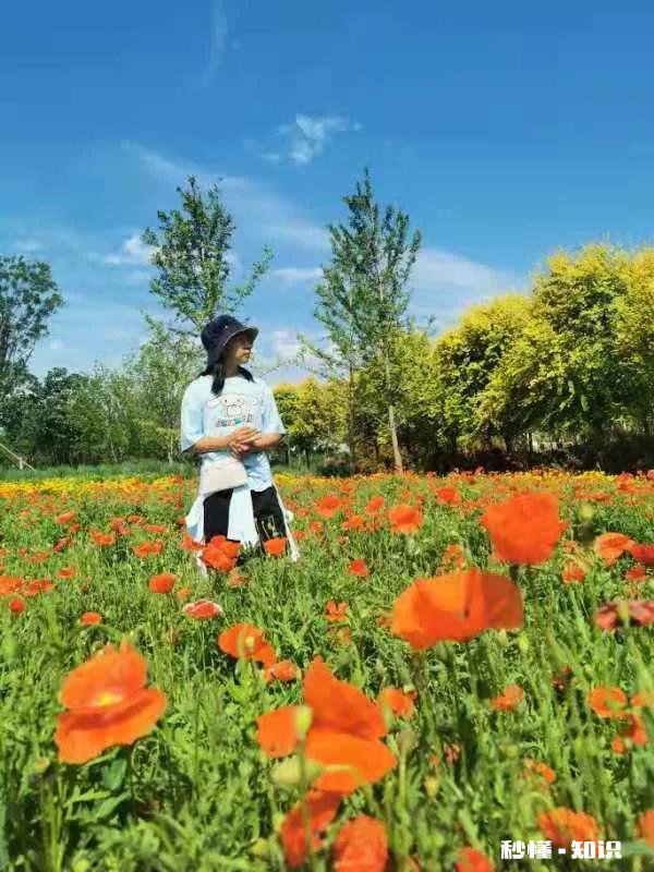 说说孩子上课外班的优缺点