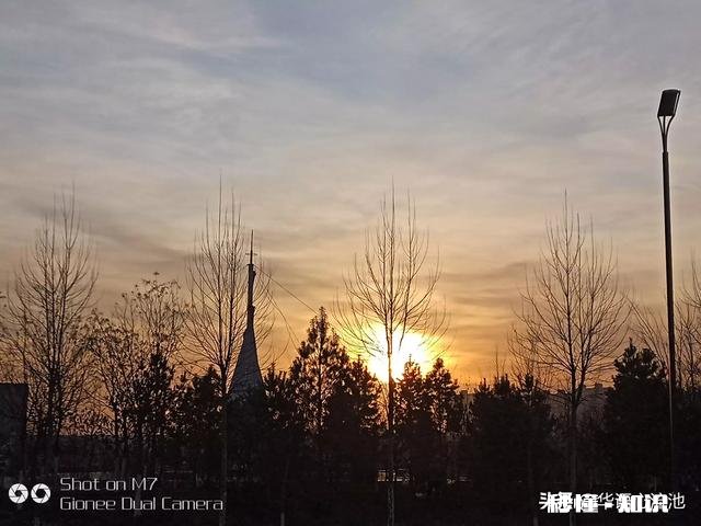 怎样表扬会生活的人