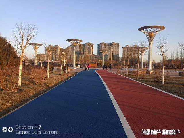 怎样表扬会生活的人