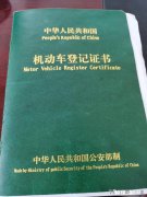 分期买的车子，贷款没还完想卖了，可以卖吗。怎么卖。求解