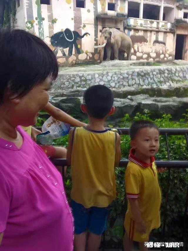 怎样才算好的私教老师