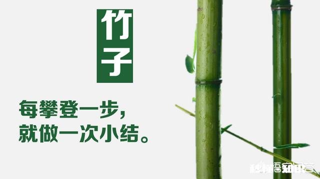 怎样才算好的私教老师