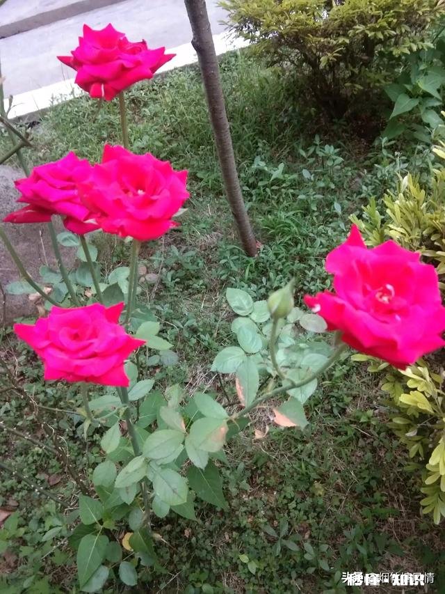 怎样才算好的私教老师