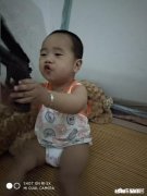 常言道“一个女婿半个儿子”，可真正做到半个儿子的职责的女婿占百分之多少