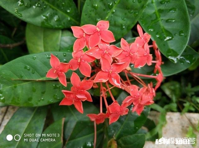 小米note3.6+64版1899值得购买吗