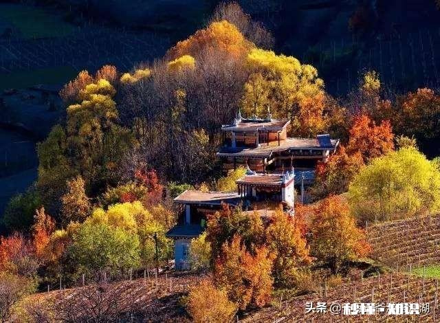 计划11月初去川西自驾游，4天，带两岁小孩，请教攻略