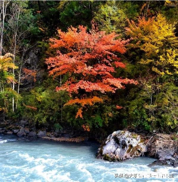 计划11月初去川西自驾游，4天，带两岁小孩，请教攻略