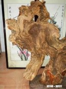 崖柏茶饮有什么功效