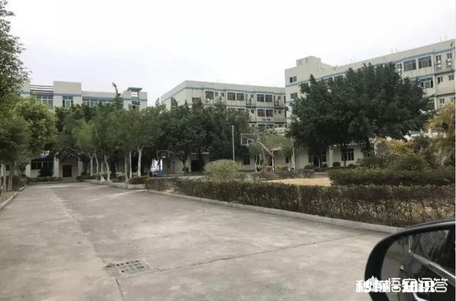 90后能欠1.4亿，你怎么看