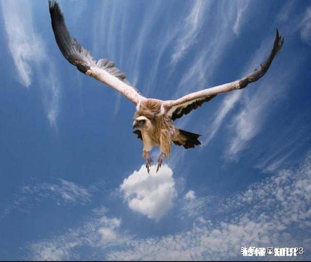 李白的诗，大气磅礴，纵横万里！为什么他能写出这样的诗