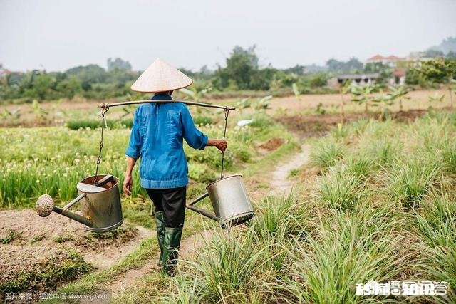 三农自媒体兴起后，最大的受益者会是农民吗