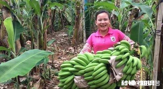 三农自媒体兴起后，最大的受益者会是农民吗