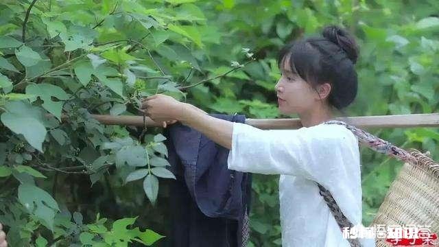 三农自媒体兴起后，最大的受益者会是农民吗