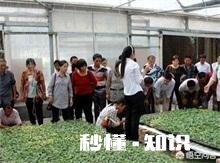 三农自媒体兴起后，最大的受益者会是农民吗