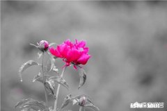 二年级学生课程能听懂，但是做家庭作业太慢，怎么办