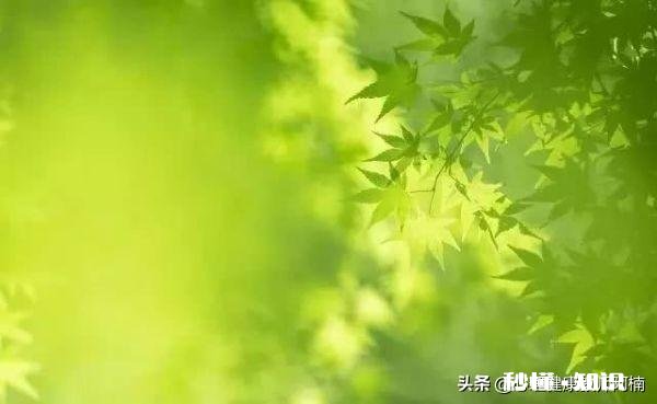 原生家庭的伤害，长大后，心理的后遗症有什么