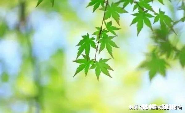 原生家庭的伤害，长大后，心理的后遗症有什么