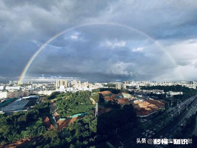 本人女,大学生,觉得综艺做作,不看热门韩剧,无男友,没钱旅行。爱看的书不流行。觉得很孤独,怎么办