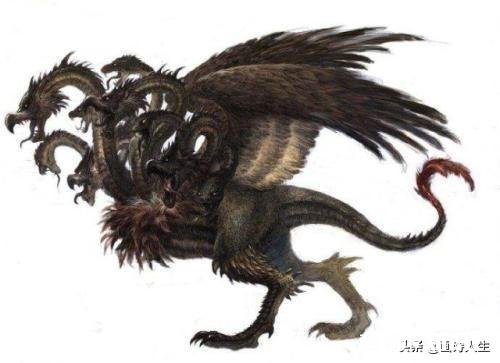 九灵元圣和九头虫谁更厉害