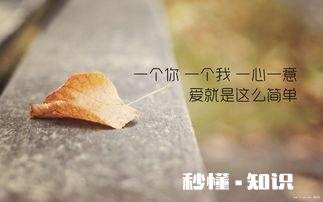 喜欢很久却不敢告白怎么办