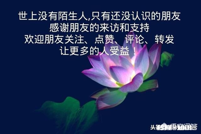 对于孩子的叛逆该如何正确教导