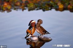 济宁小北湖为什么不叫“小南湖”