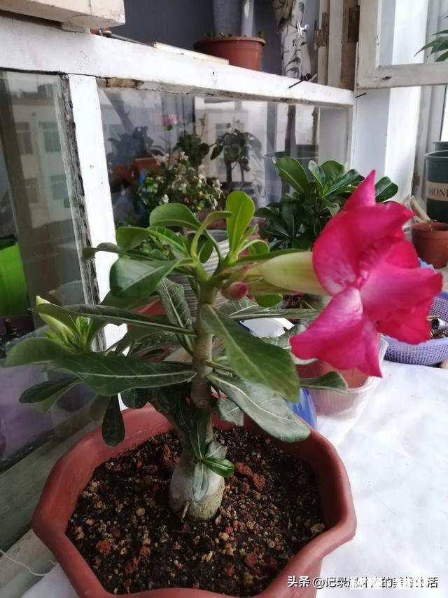 济宁小北湖为什么不叫“小南湖”