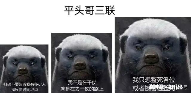 象棋怎么快速提高水平有什么套路招数