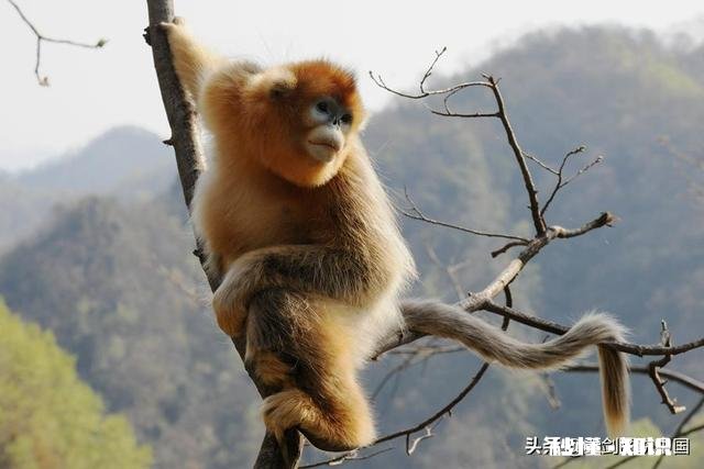 男人的心到底是什么样的该怎么去懂他们