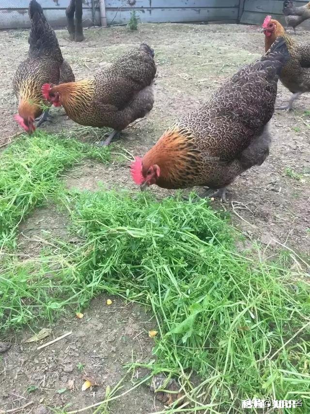 男人的心到底是什么样的该怎么去懂他们