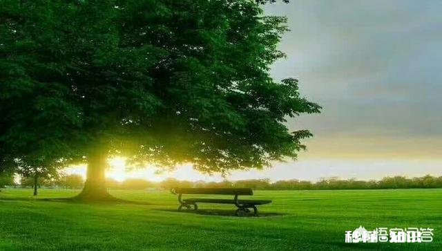 一天不看手机是一种怎样的感受