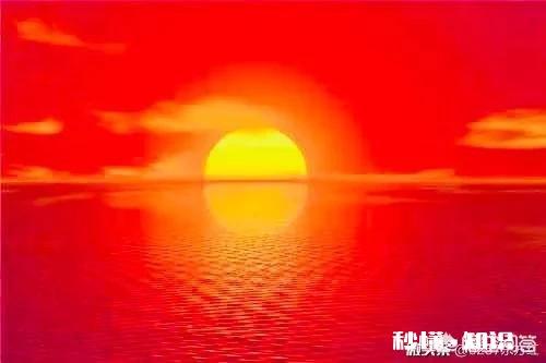 一天不看手机是一种怎样的感受