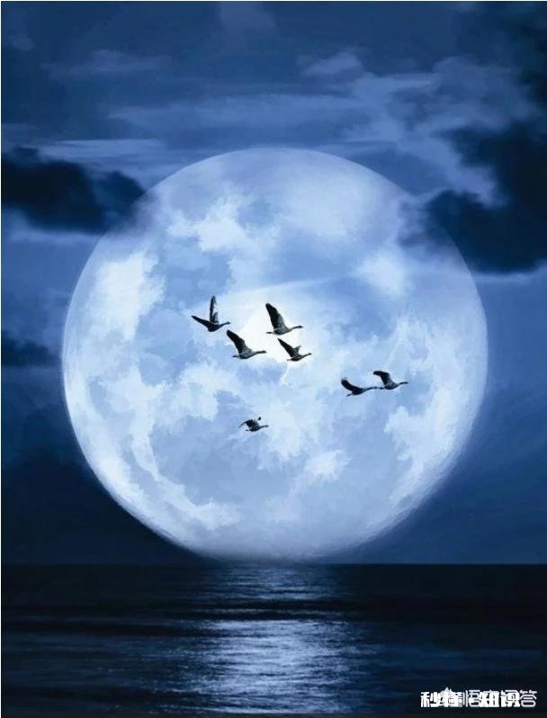 月牙弯弯怎么拍好看