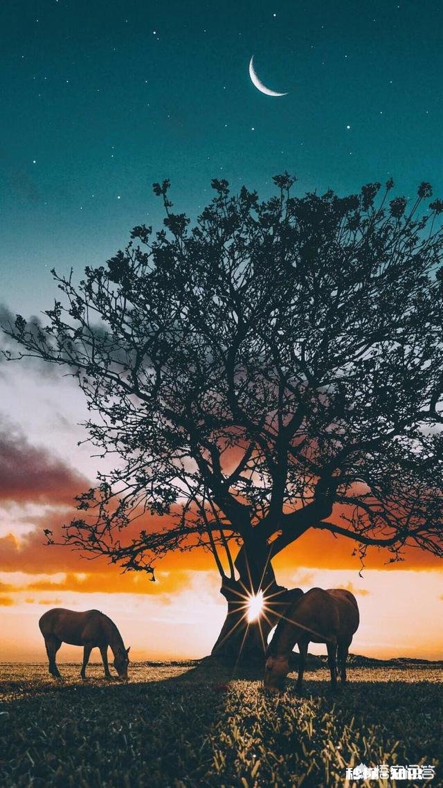 月牙弯弯怎么拍好看