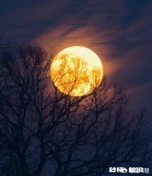 月牙弯弯怎么拍好看