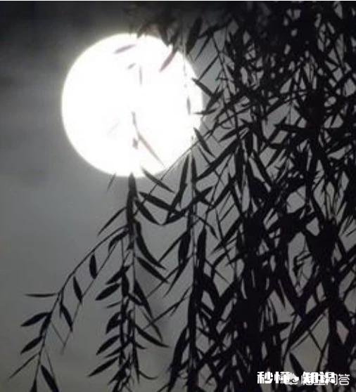 月牙弯弯怎么拍好看