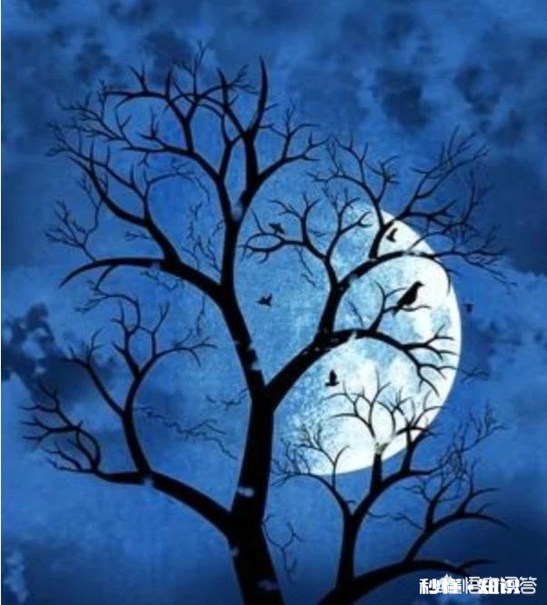 月牙弯弯怎么拍好看