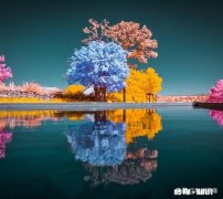 感觉要分手了，不知道怎么办