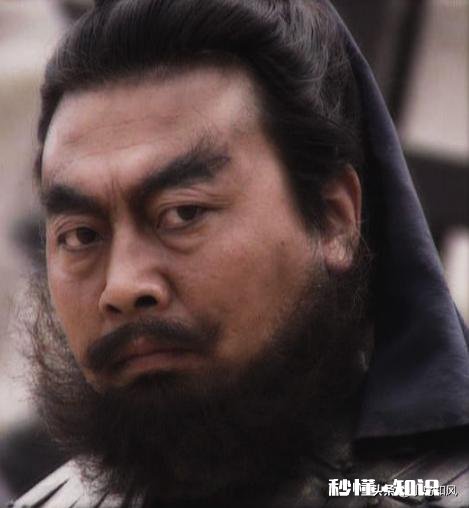 《三国演义》里张飞的女儿做了阿斗的皇后，张飞的女儿漂亮么有何依据