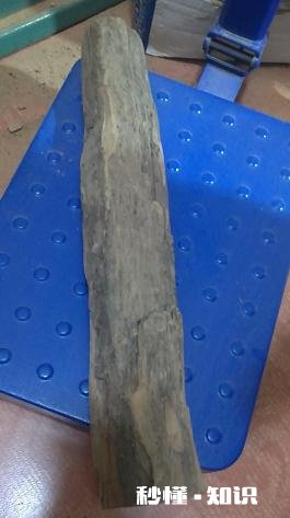 沉香和檀香有什么区别