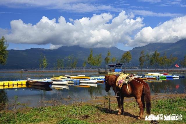 现在去云南旅游，报团有些套餐是需要进店配合导游，强制消费吗