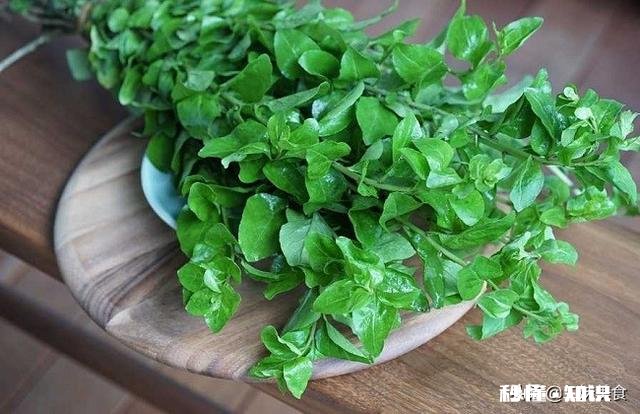 枸杞叶猪肝汤怎么做