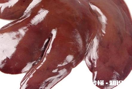 枸杞叶猪肝汤怎么做