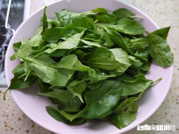 枸杞叶猪肝汤怎么做