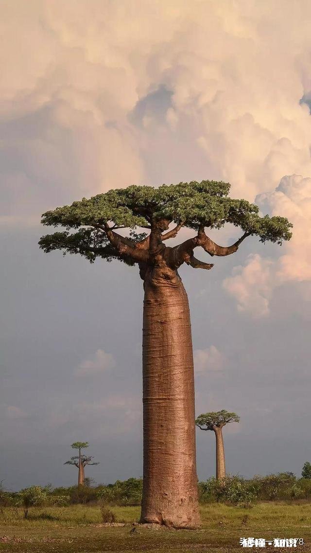 我的婚姻已经彻底毁灭了，可是她不同意离婚，却又总是肆无忌惮地伤害我，我该怎么办