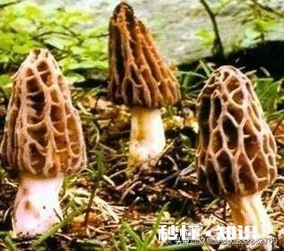 我的婚姻已经彻底毁灭了，可是她不同意离婚，却又总是肆无忌惮地伤害我，我该怎么办