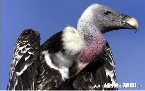 我的婚姻已经彻底毁灭了，可是她不同意离婚，却又总是肆无忌惮地伤害我，我该怎么办